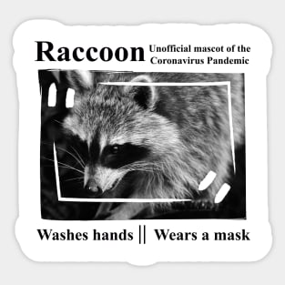 Raccoon - The Mascot Of The Coronavirus Pandemic Sticker